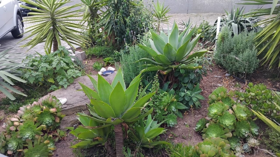 To Let 2 Bedroom Property for Rent in Myburgh Park Western Cape